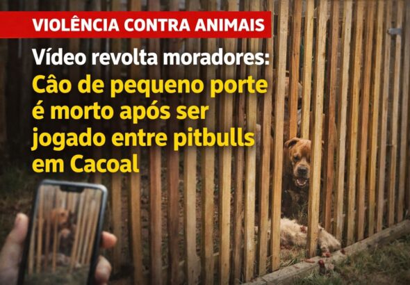 WhatsApp Image 2026-01-14 at 10.28.31