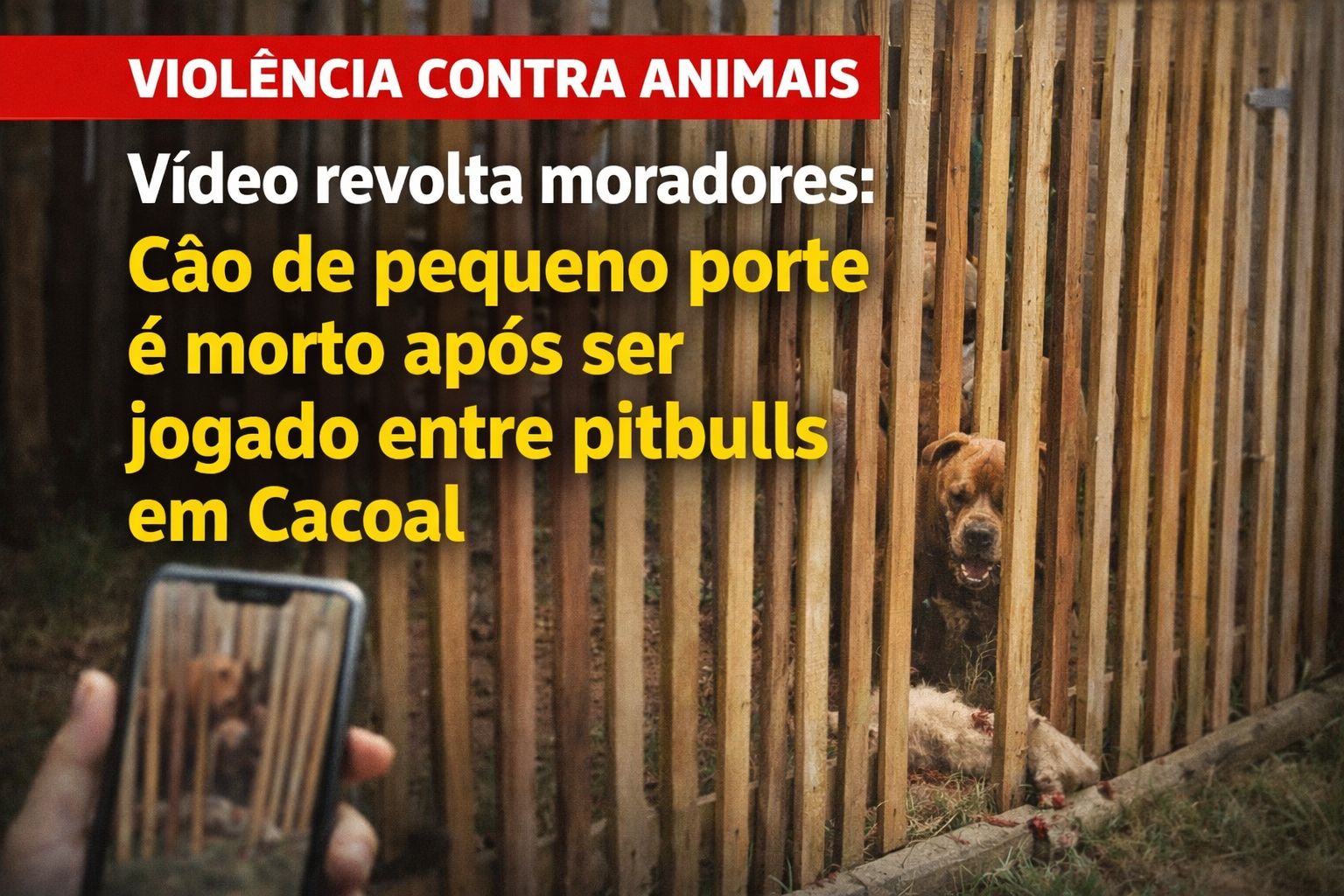 WhatsApp Image 2026-01-14 at 10.28.31