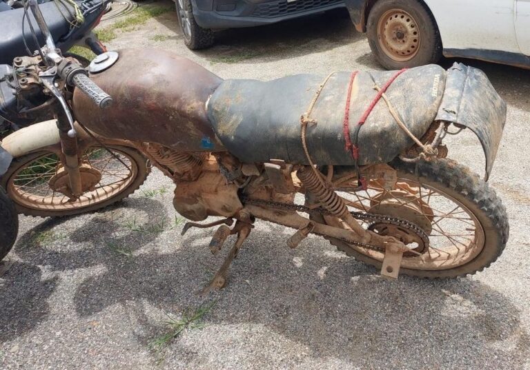 index-14-e1768395673771