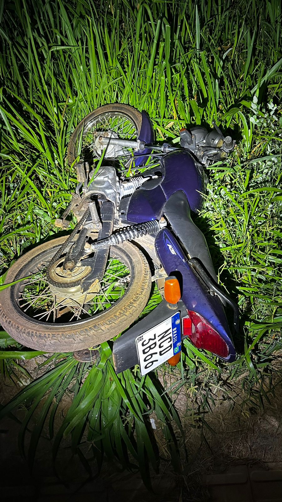 WhatsApp Image 2026-02-05 at 15.40.02