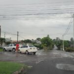 WhatsApp Image 2026-02-06 at 17.12.02