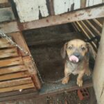 index-e1770815474692