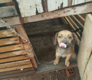 index-e1770815474692