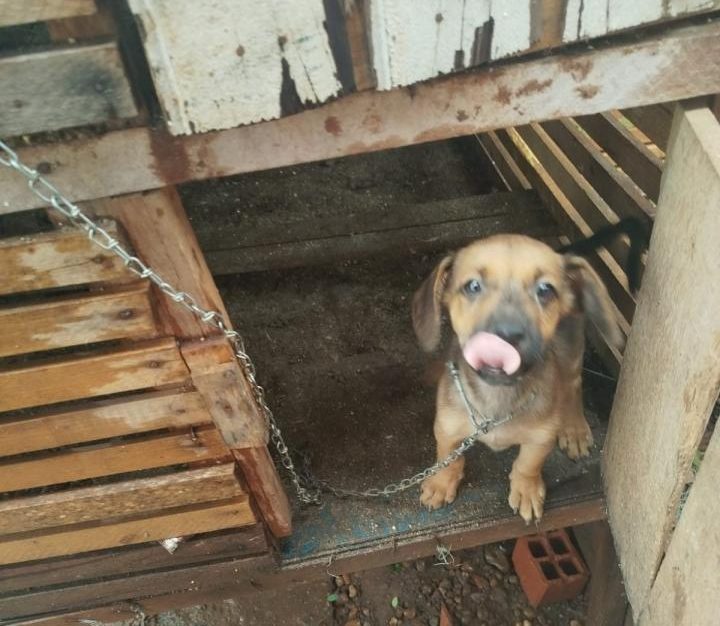 index-e1770815474692