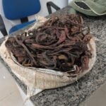 WhatsApp Image 2026-04-24 at 12.07.43