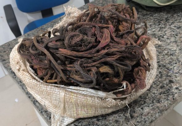 WhatsApp Image 2026-04-24 at 12.07.43