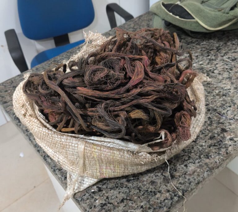 WhatsApp Image 2026-04-24 at 12.07.43