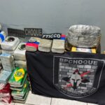 cocaina-skunk-macoonha2-e1775861528550